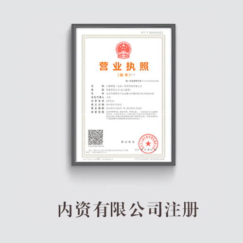 內(nèi)資有限公司注冊