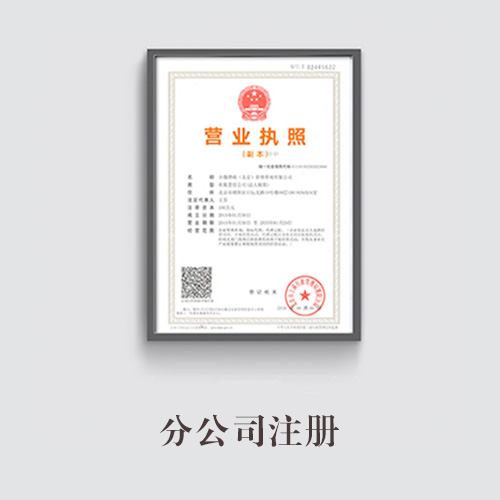 分公司注冊(cè)